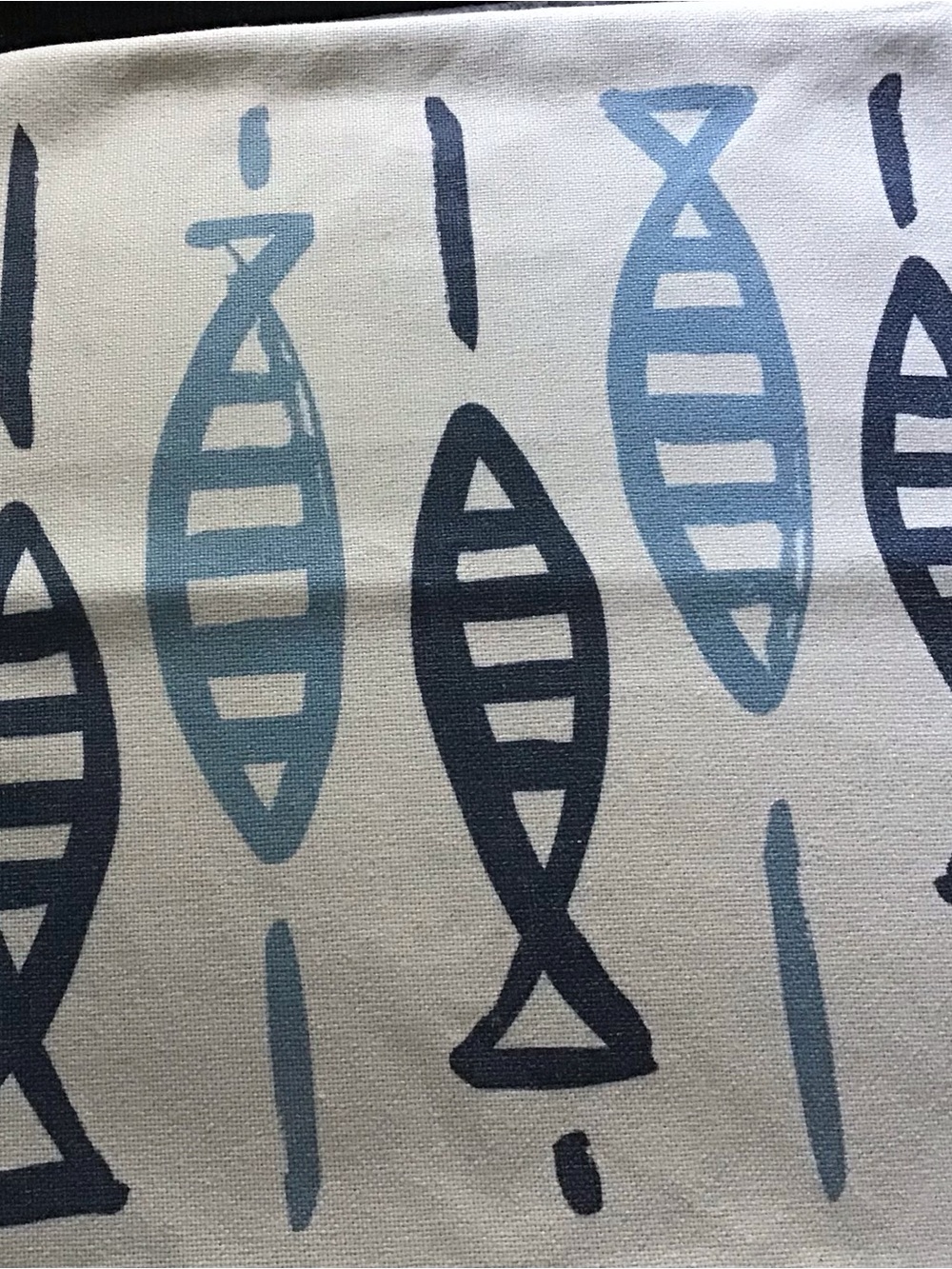 2 Blue Print Decorative Canvas pillow cases